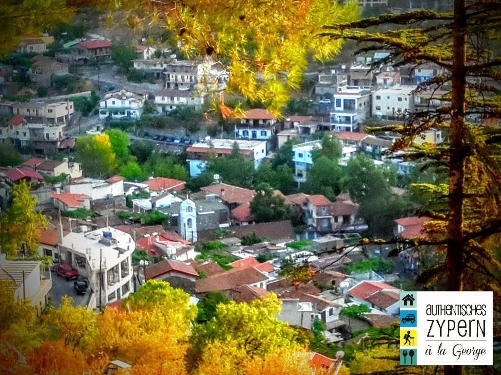 Isminis Petroktisto Holidays Stonehouse Palechori Bagian luar foto