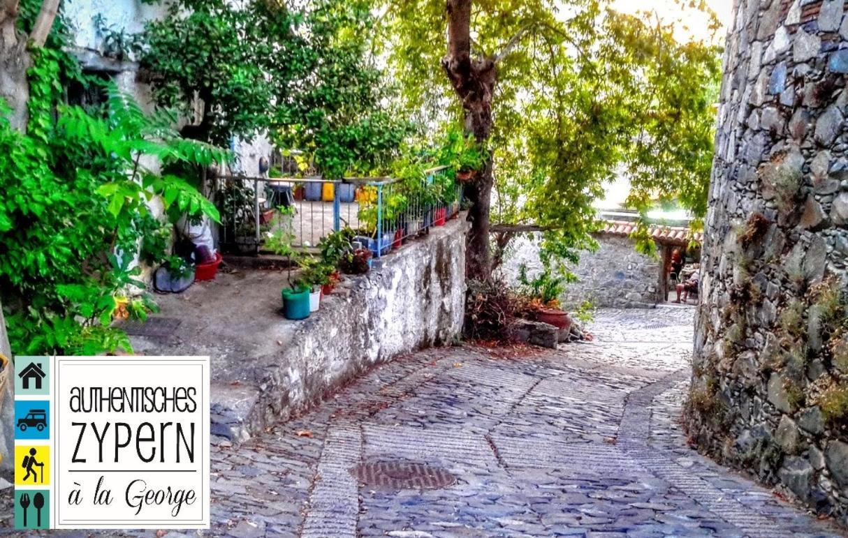 Isminis Petroktisto Holidays Stonehouse Palechori Bagian luar foto